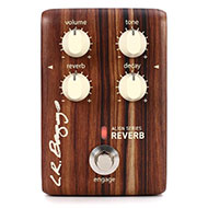 L R Baggs Align Series Reverb